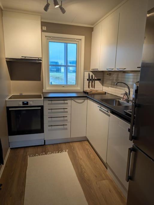And Spacious In A Quiet Area Apartment Tromso