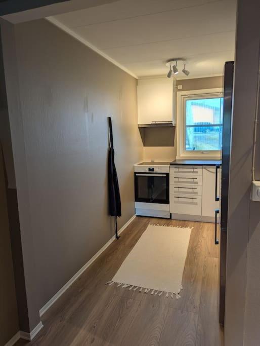 And Spacious In A Quiet Area Apartment Tromso